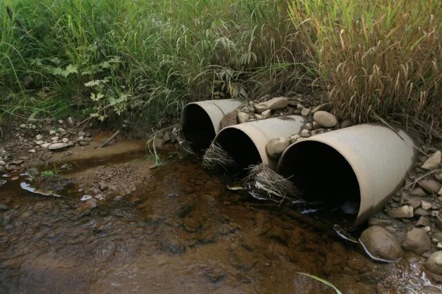 защита природы. нарушения окружающей среды. экология окружающей среды. загрязнение природы человеком. экологический.