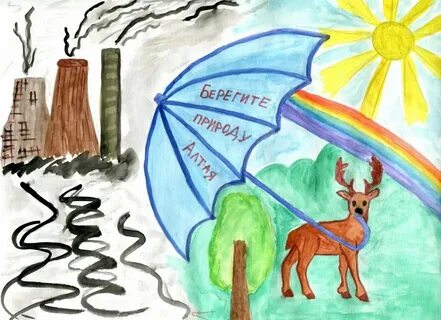 Экологическая тема береги природу