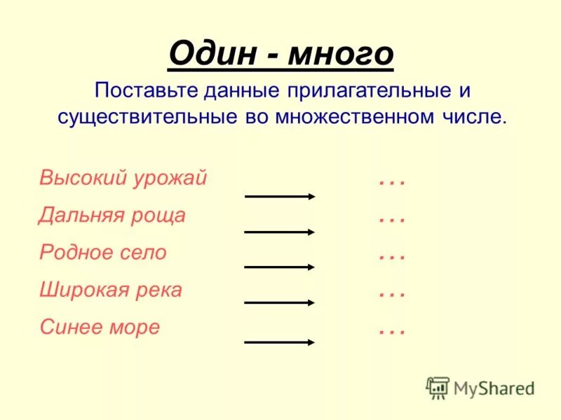 Карточка русский язык прилагательное задания. Единственное и множественное число прилагательных 2 класс. Множественное число имен прилагательных 2 класс. Имя прилагательное 2 класс единственное и множественное число. Единственное и множественное число имен прилагательных 2 класс.