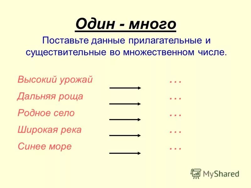 Карточки по русскому языку число имен прилагательных