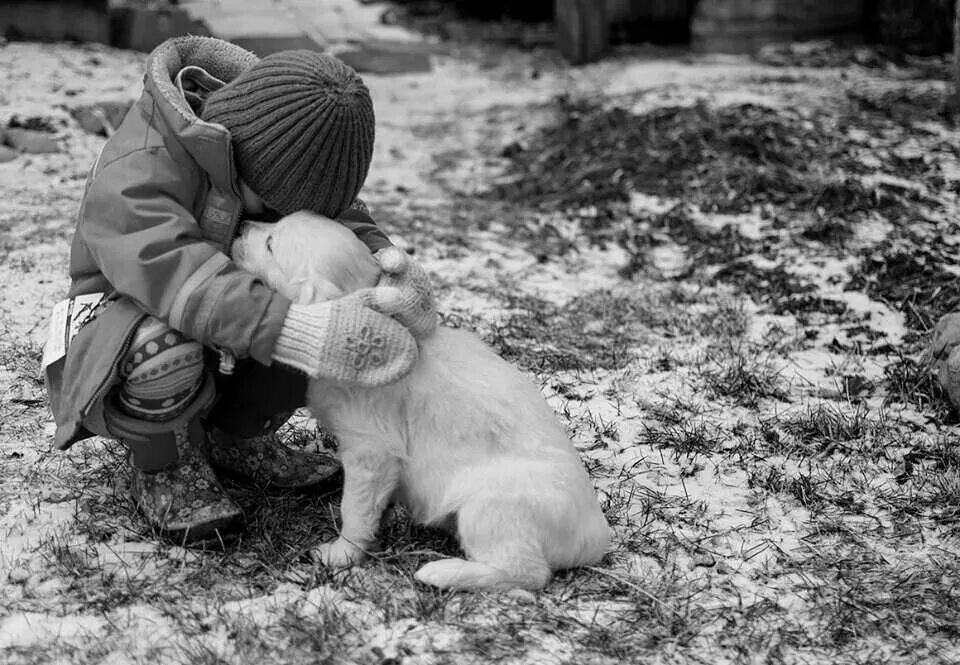 Мальчик держит собаку. Сочувствие животным. Сострадание к животным. Для детей. Животные. Щенок мальчик.