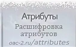 Пять фунтов искупления 2024