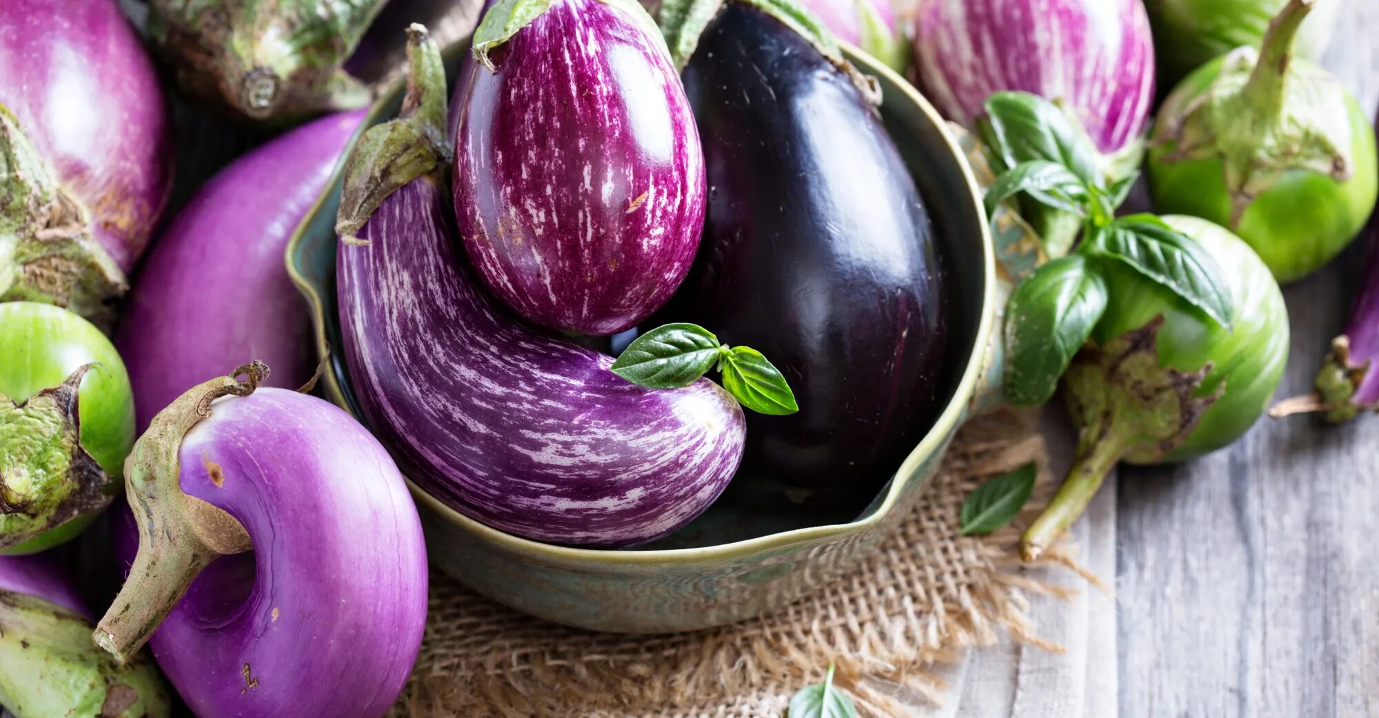 Паслён баклажан. Баклажан Меланзана сорт. Aubergine Eggplant. Баклажан феньюэн пурпурный (Fengyuan Purple). Цветные баклажаны