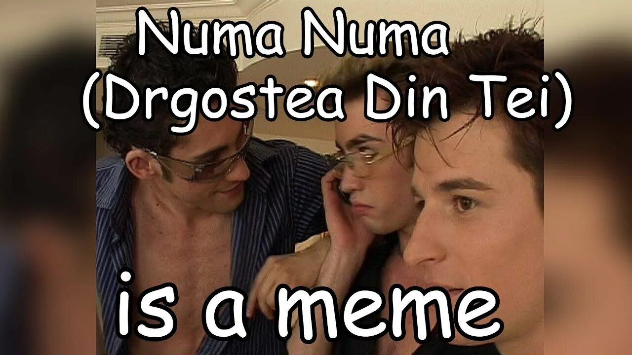Нума нума ей песня кто. Нума нума мем. numa numa мем. parrot numa numa meme.