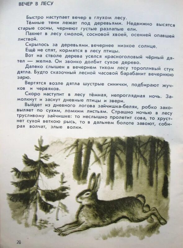 Вечер в лесу Соколов Микитов. Соколов-Микитов русский лес текст. Соколов-Микитов зимняя ночь текст. И Соколов Микитов в лесу текст. Сказочным кажется ночной лес текст