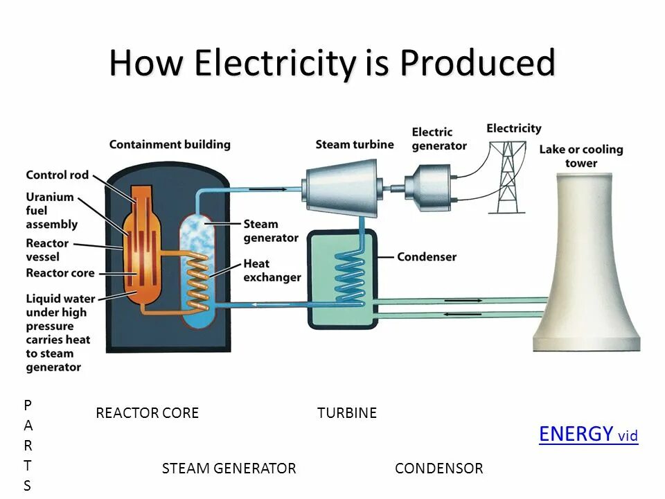 Nuclear Energy. Generations of nuclear Reactors. Reactor fuel Assemblies. Nuclear Power Plant scheme. Used power plant