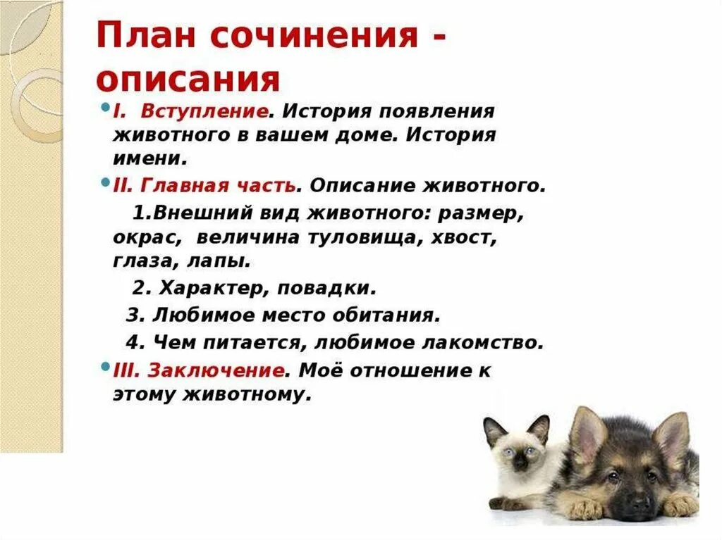 Сочинение описание животного 5. Сочинение про животных. План сочинения про кота. Сочинение про питомца. Сочинение на тему животные.