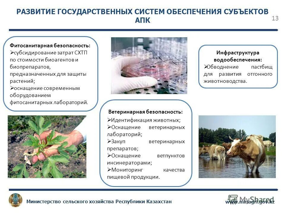 субъекты агропромышленного комплекса