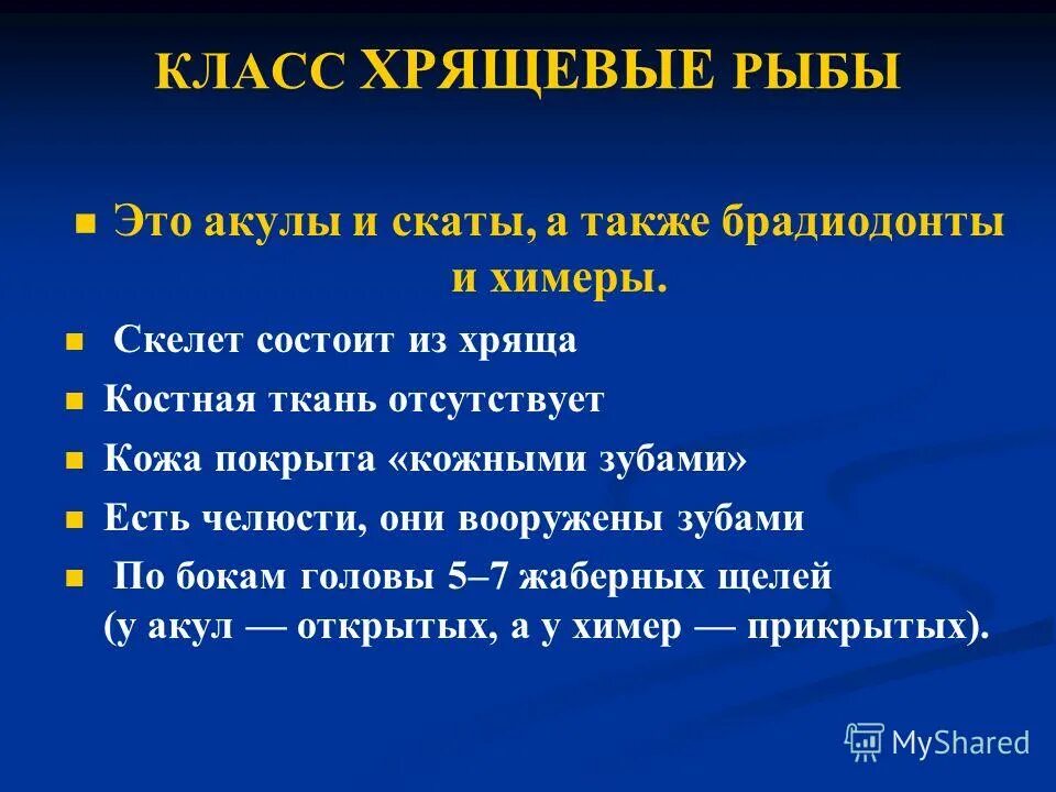 Опорно-двигательная система (скелет,конечности,череп). Скелет состоит из хряща. Класс хрящевые рыбы 7 класс. Основные кости скелета и суставы. Щитовидный хрящ гортани и перстневидный хрящ.