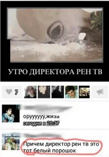 Директор рен