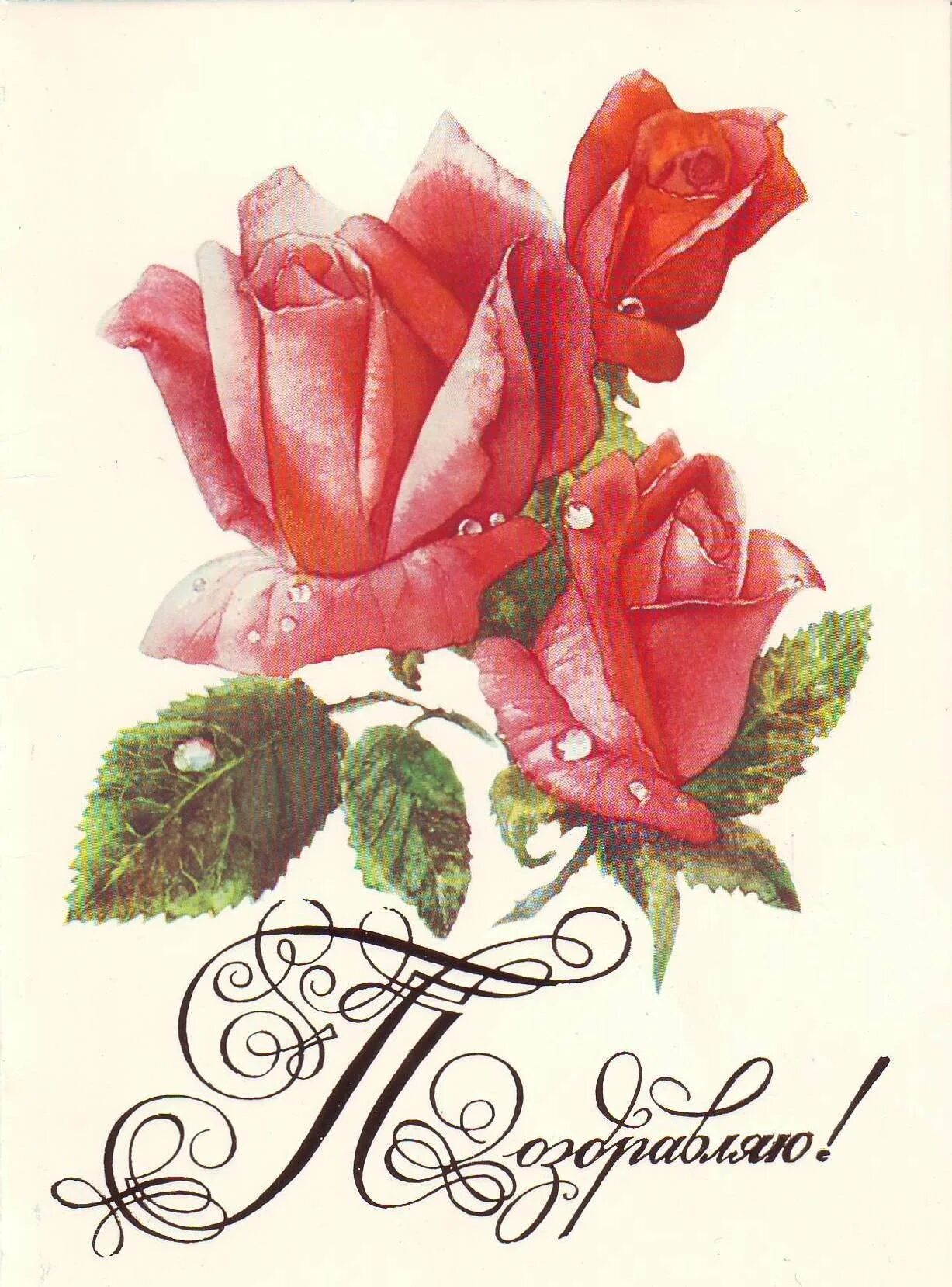 Просто поздравительная открытка. Открытка поздравляю. Открытка цветы. Открытка рисунок. Рисование поздравительной открытки.