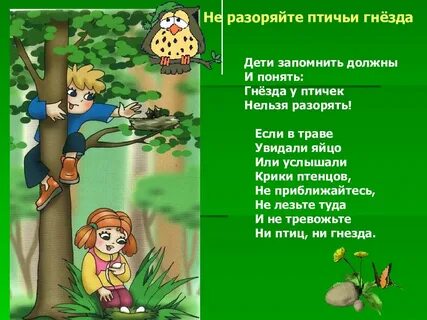 Не разоряйте птичьи