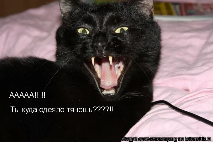 А сейчас у тебя его нет