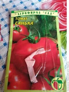 Переросшие помидоры