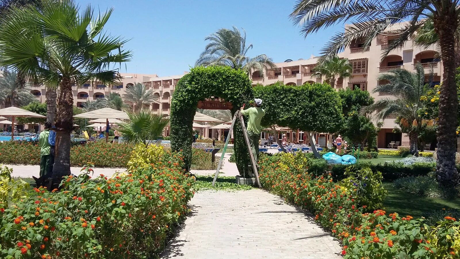 Continental Hotel Hurghada 5. Хургада 80 годы. Хургада достопримечательности фото. Континенталь видео Шарм русская деревня.