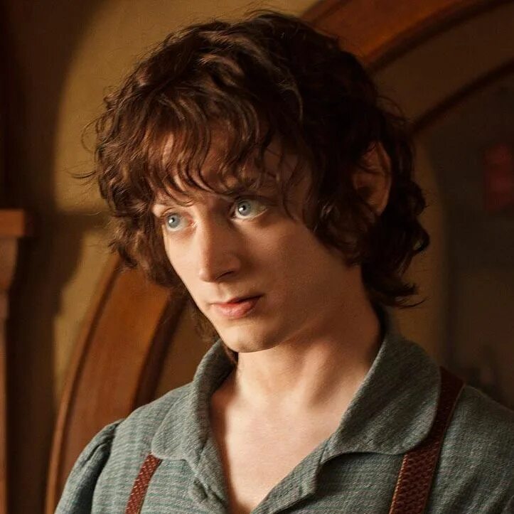 Властелин колец фродо актер. Элайджа вуд тогда и сейчас. Элайджа вуд факультет. Фродо бэггинс. Элайджа вуд властелин колец и сейчас.