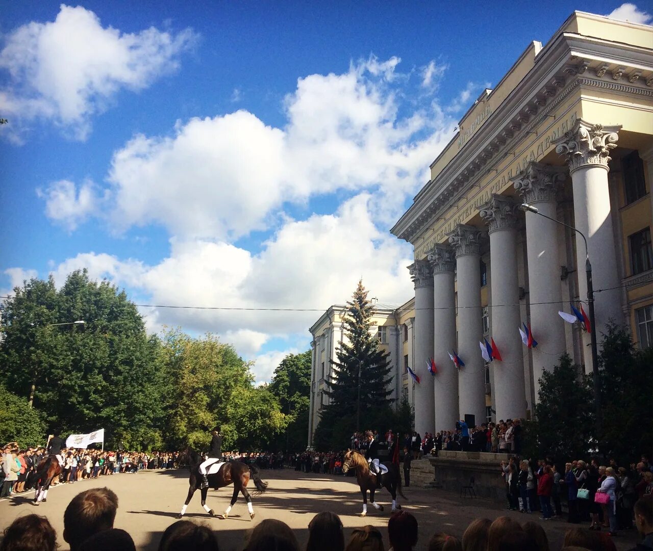 Московский ветеринарный институт. Московский ветеринарный институт. Московская ветеринарная академия им. Московская ветеринарная академия им. Московская ветеринарная академия им.