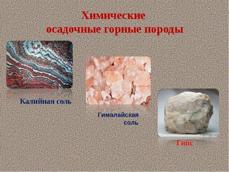 Каменная соль осадочная порода. Химические осадочные породы. Химические осадочные породы. Осадочные химические породы примеры. Химический горные породы.