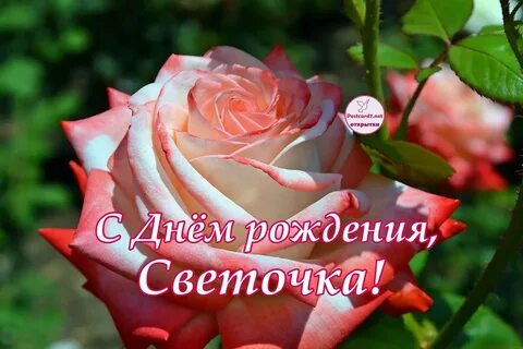 Картинки с днем светик
