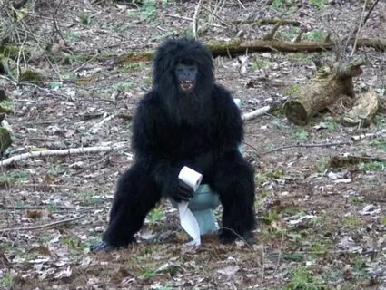 Bigfoot текст