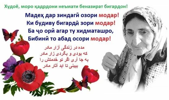 Модарнома точики. Шер модарчон. модар. модарнома картинка. ае модар.