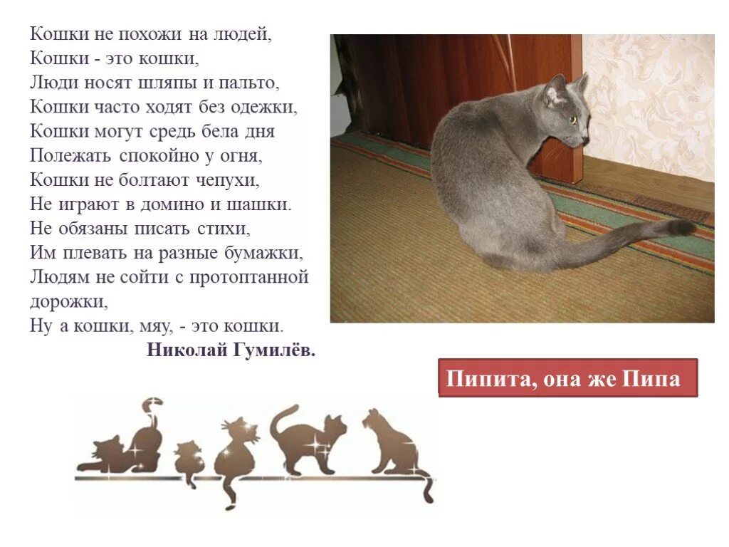 Кошки не похожи на людей. Стихотворение кошки не похожи на людей. Кошки не похожи на людей текст. Кошки не похожи на людей кошки это кошки. Песня кошки кошки на шкафах