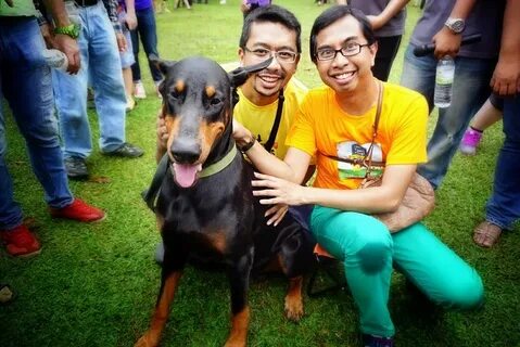 Pets event