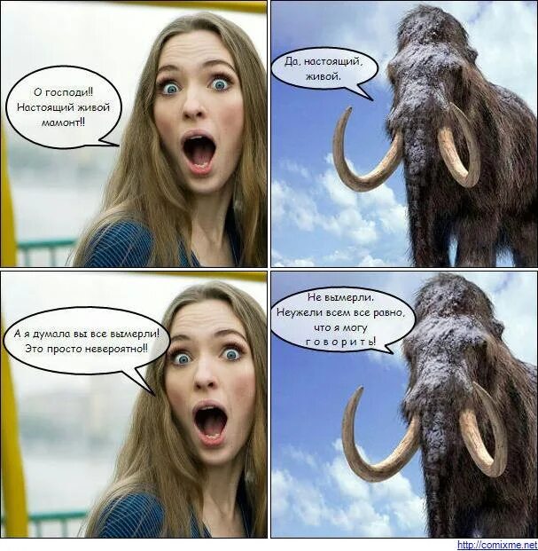 Все деньги меня хотят человек не мамонт. Картинки про обман на работе. Заскамил мамонта мем. Скам мамонта. Мамонт демотиватор.