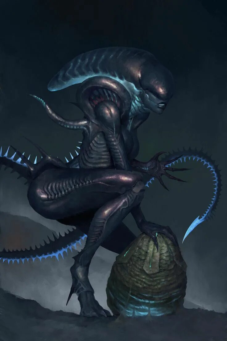 Rule 34 alien. Ксеноморф самка Королева 18. Чужой Ксеноморф. Чужие Ксеноморфы Королева.