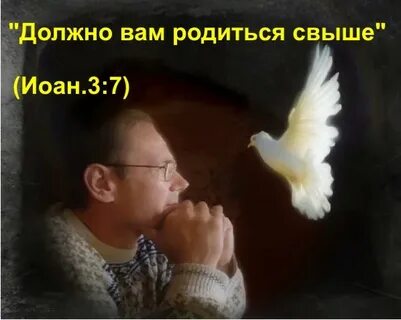 Добрым можно стать или родиться