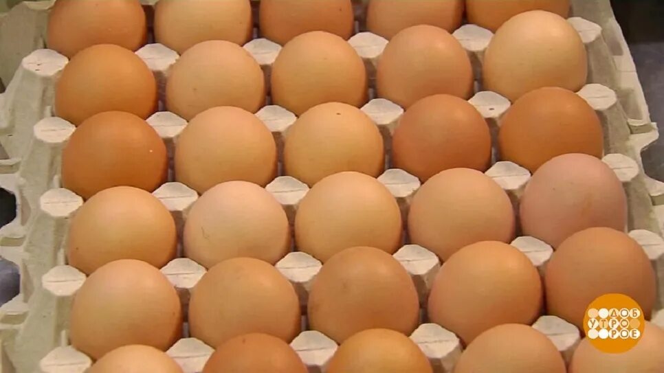 Сколько стоит яйцо сегодня. Два куриных яйца. Яйца на рынке. Апрель яйца. Стоячие яйца.