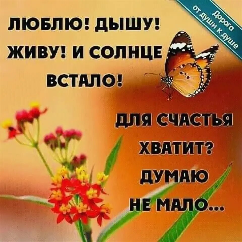 Который так мне нужен то счастье. Проснулся и живи. счастье жить. дышите счастьем утром. счастье в малом.