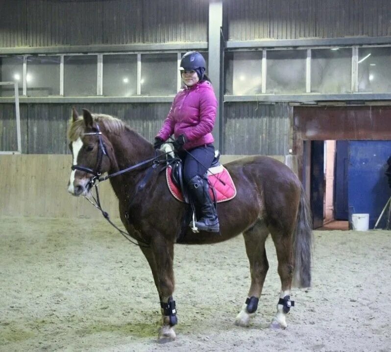 мбу сш по конному спорту екатеринбург. конно-спортивная школа менделеевск. кулаков олег владимирович конный спорт. конный спорт соревнования конкур. игорь самодуровский конный спорт.
