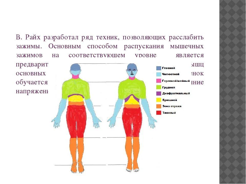 Губка райха. Мышечные блоки и зажимы. Телесно-ориентированная терапия для детей. Райх телесно-ориентированная терапия.