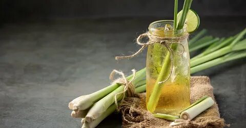 Лимонная трава лемонграсс