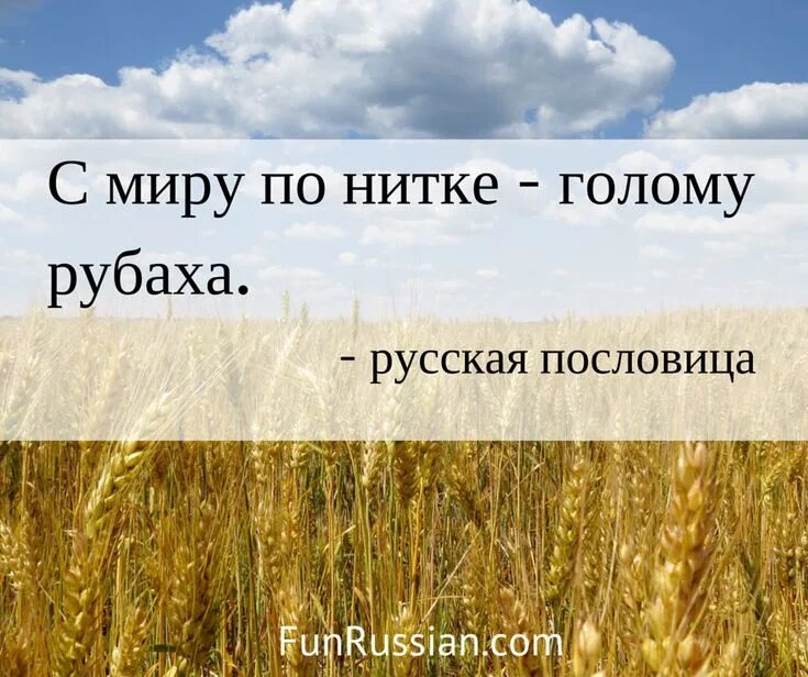 Пословица туда и нитка. С миру по нитке пословица. С миру по нитке голому рубаха. С миру по нитке пословица продолжение. Пословицы с миру по нитке голому рубаха.