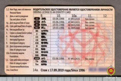 Можно ли ездить на белорусских номерах