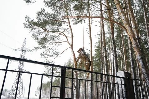 Сторожа в рязани