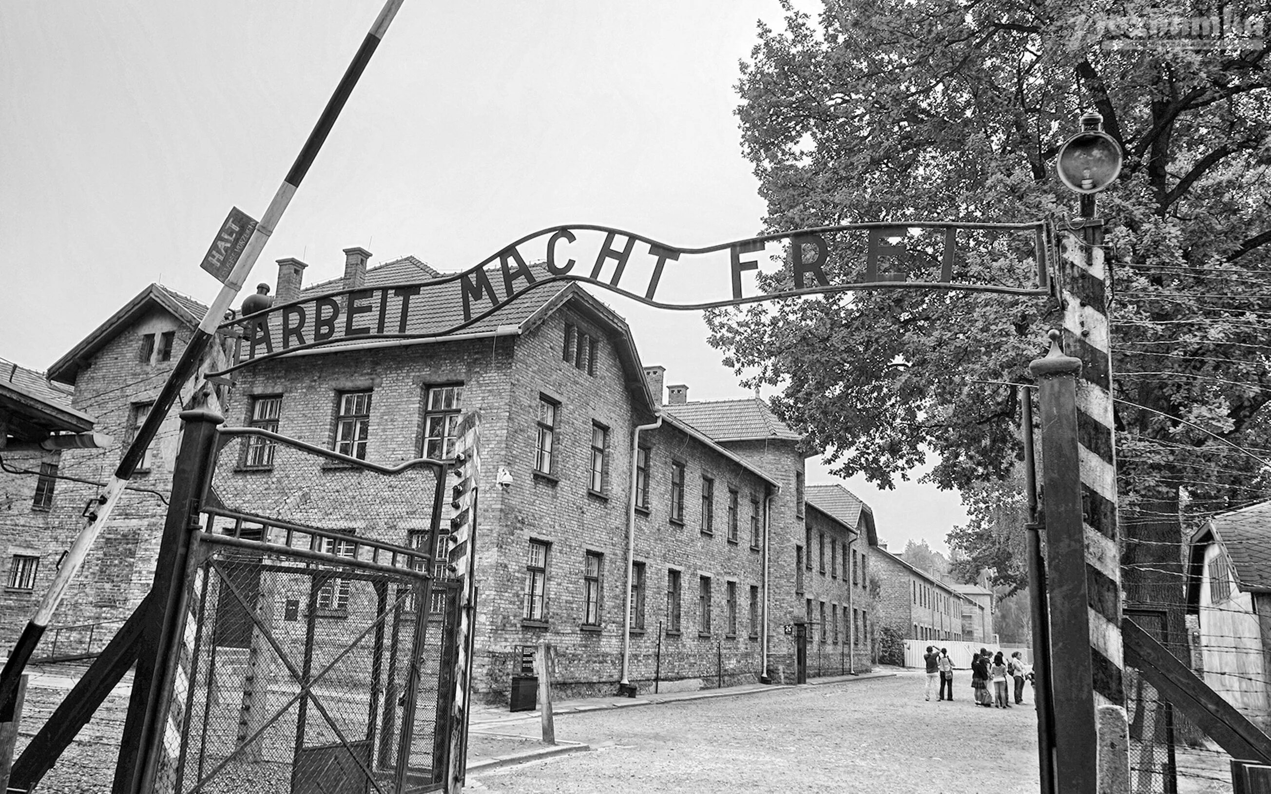 Концентрационный лагерь аушвиц-биркенау. Лагеря освенцим-биркенау. Концентрационный лагерь освенцим. Концентрационный лагерь освенцим польша. Лагерь аушвиц-биркенау.