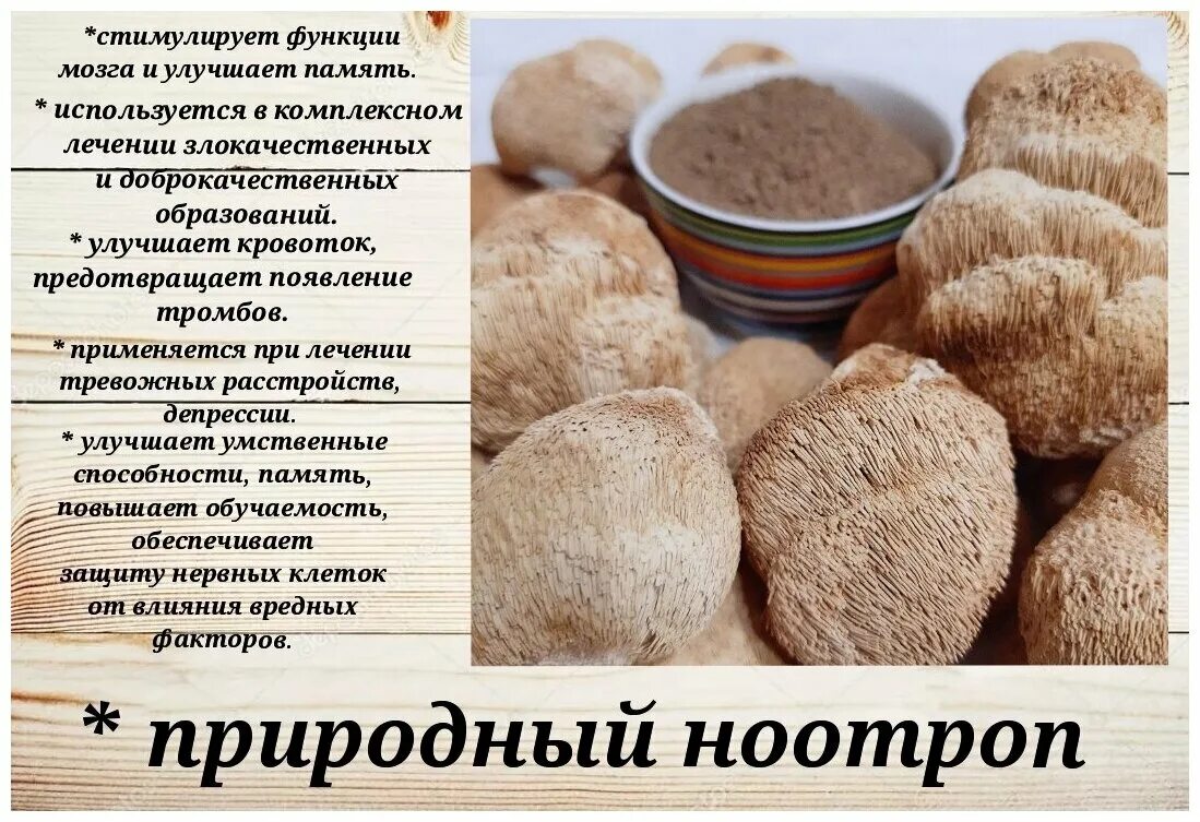 Ежевик гребенчатый. Гриб ежевик гребенчатый. Ежовик гребенчатый (львиная грива). Гриб ежовик гребенчатый. Ежевик гребенчатый как принимать.