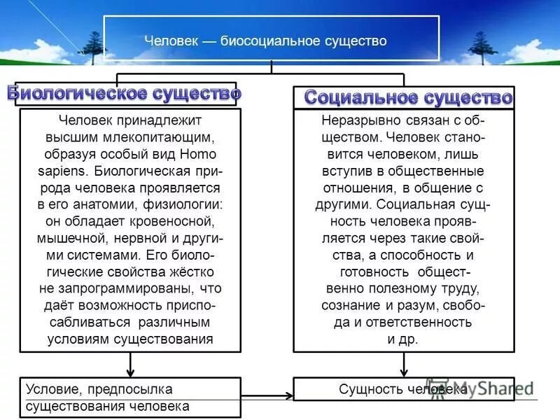 Личность биосоциальное существо. Человек как биологическое и социальное существо. Охарактеризовать человека как биосоциальное существо. Таблица человек биосоциальное существо и социальное. Человек биологическое существо и социальное существо таблица.