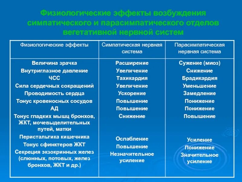 Действия симпатического и парасимпатического отделов. Эффекты возбуждения симпатических и парасимпатических нервов:. Симпатическая и парасимпатическая нервная система фармакология. При возбуждении симпатического отдела нервной системы. Парасимпатическая система и симпатическая система.