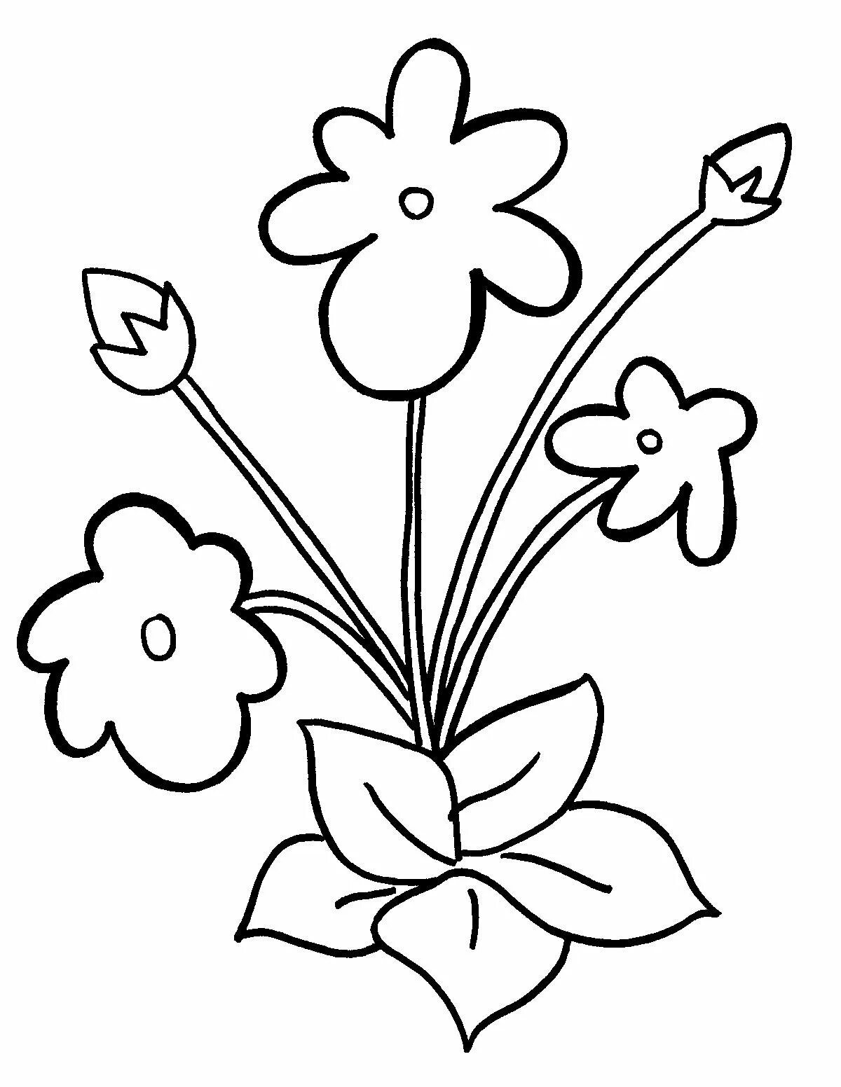 Раскраска 3 цветочка. Узамбарская фиалка раскраска. Цветы. Раскраска для малышей. Раскраска цветочек. Раскраска цветок фиалка.