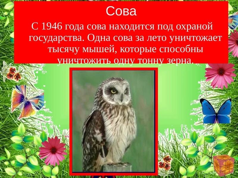 Задания из красной Совы. Красная Сова группа. Как выглядит красная Сова. Красная Сова в ВК.