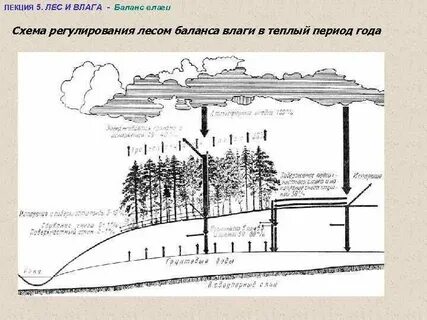 Влажность схема