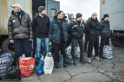 Обмен днр
