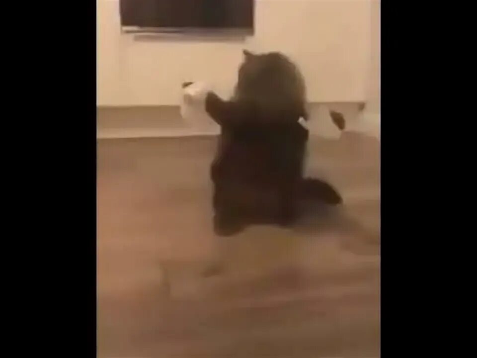 Падает падает ядерный фугас
