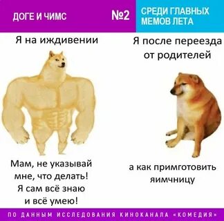 Мем собака и ребенок