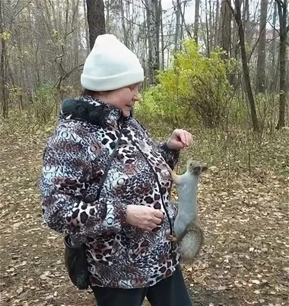 Нилова инстаграм. Держава света нилова. Сайт вестники перемен с ириной ниловой. Держава света. Вестники перемен сайт ирины ниловой.
