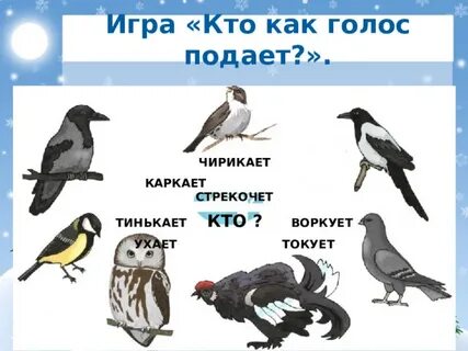 Воробьи чирикают ворона каркает